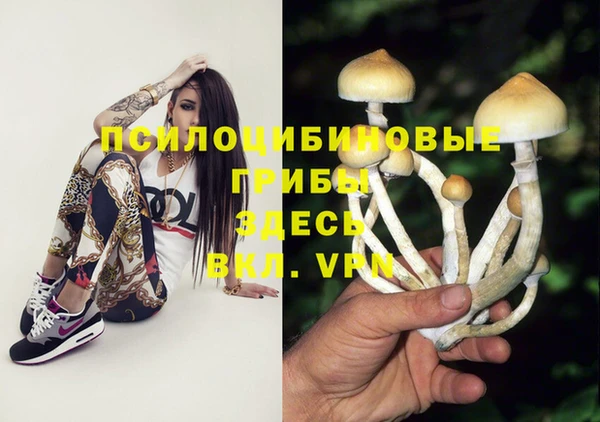 марки lsd Беломорск