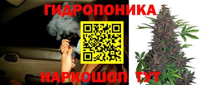 MESCALINE Лесосибирск
