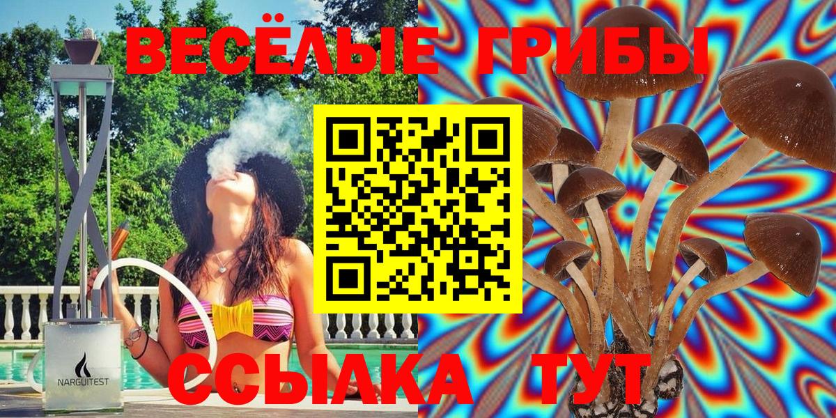 Псилоцибиновые грибы MAGIC MUSHROOMS Пыть-Ях