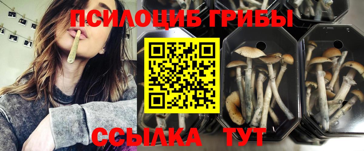 Псилоцибиновые грибы ЛСД  Вход с VPN  купить закладку  Пыть-Ях 